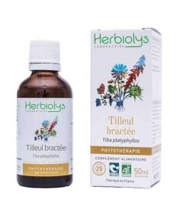 Extrait de plante fraîche - Tilleul bractée BIO - Tilia platyphyllos BIO, 50 ml
